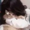violeta.joti