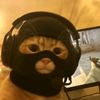 putz_otto1611