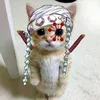 rb_souz4