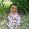 ajaizdawar