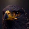 fadi.fadi1103