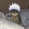Kuro