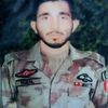 ibrahim.khan43531