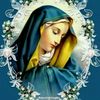 amin.vincentsius