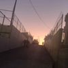 hanansheeha15