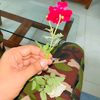 mayapakhi12922