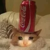 flxzyflintygaurdian