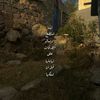 nour.ahmed74607