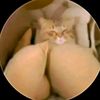 elpanagabriel03