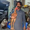 m.tanveer3491