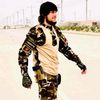 baba.shawqi