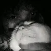 nyckizx_xd