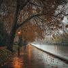 aseel_ali78