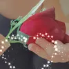 user4305817392309