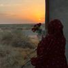 safashamdy