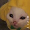 bdanna_bargle