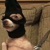 tickletimson3653