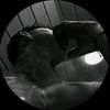 _alexzsiross