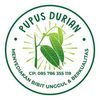 PUPUS DURIAN