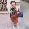 chjpxinggainhatquadat