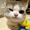 sekar_12305