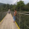 alwi2024