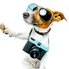 perruno464
