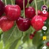 user4626025284702