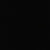 veraschmidl.0605