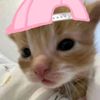 kavya_fda