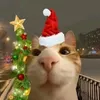 merry_chrismas_everyone