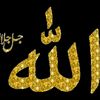ali.tabish35
