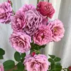 user180677167598