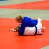 aljudo2