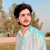 pakbacha4