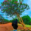 aleixs004