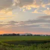bako_737