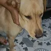 anhbakhiadepzai