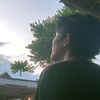 onepic337