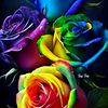 user6135918068173