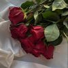 ainur_447