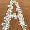 abff_124