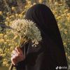.nur.ain.thalib