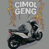 acil13593