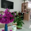linh.phng9084