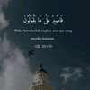 insan_xsempurna