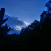khai_007512403