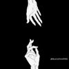 rawda.abdallah36