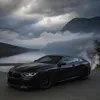 alexman902