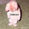 bye_bye096
